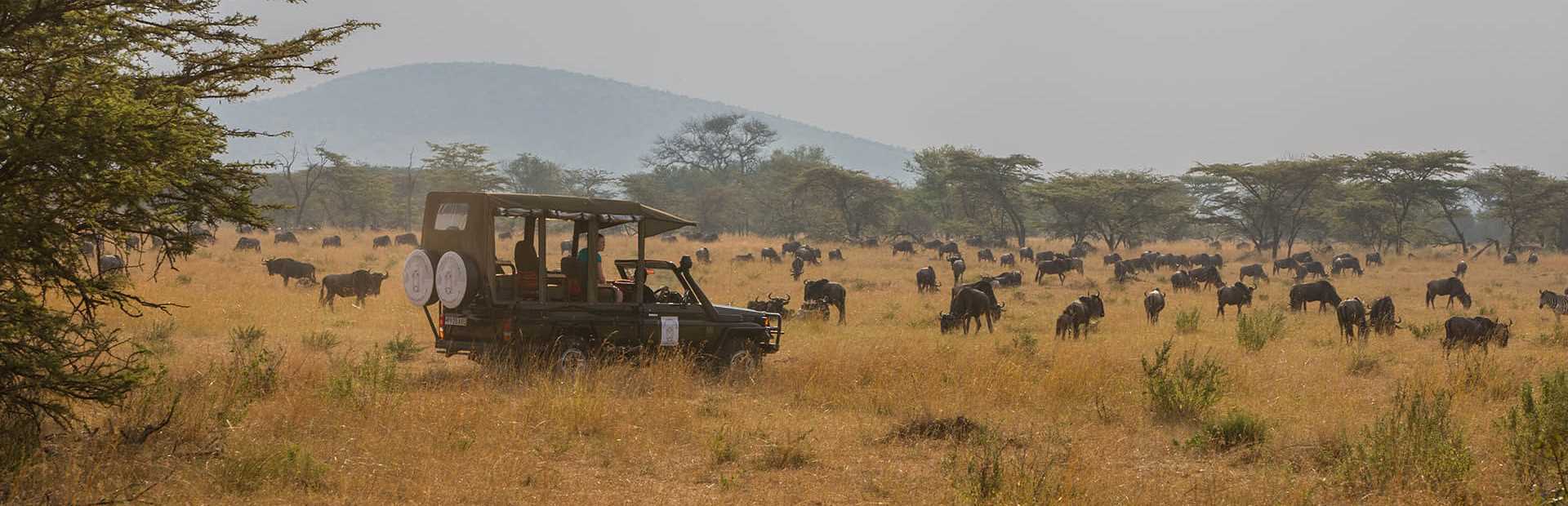 Nasikia Mobile Migration Camp (Kogatende)